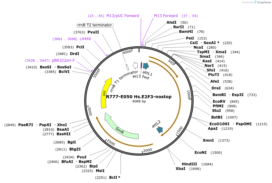 125783_map