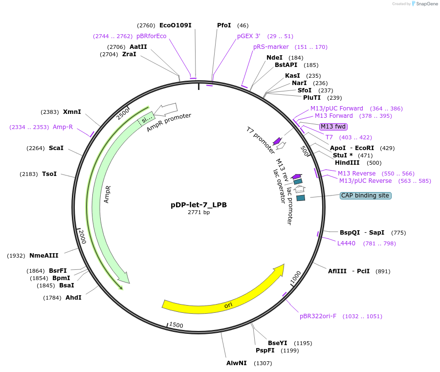 26560-plasmid-map-sequence-id-12579