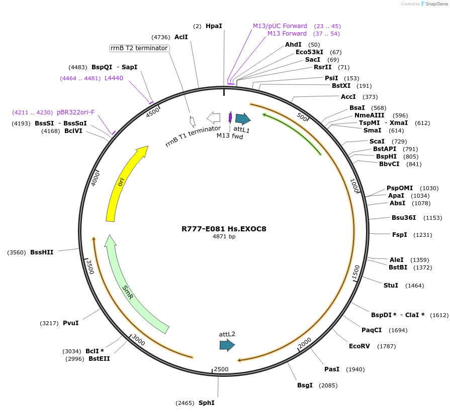 125814_map