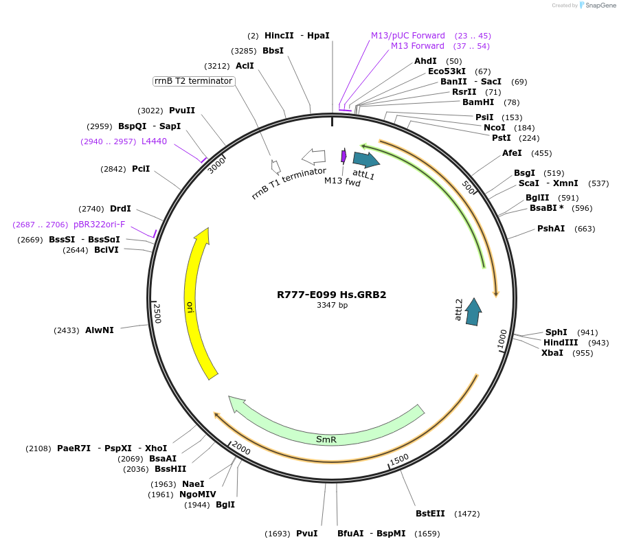 125832_map