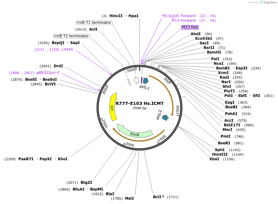 125836_map