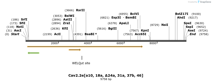 12585_map