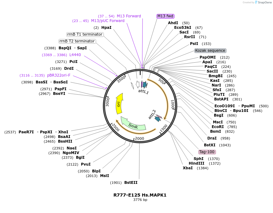 125858_map