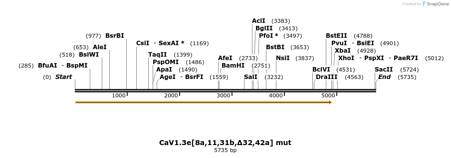 12589_map