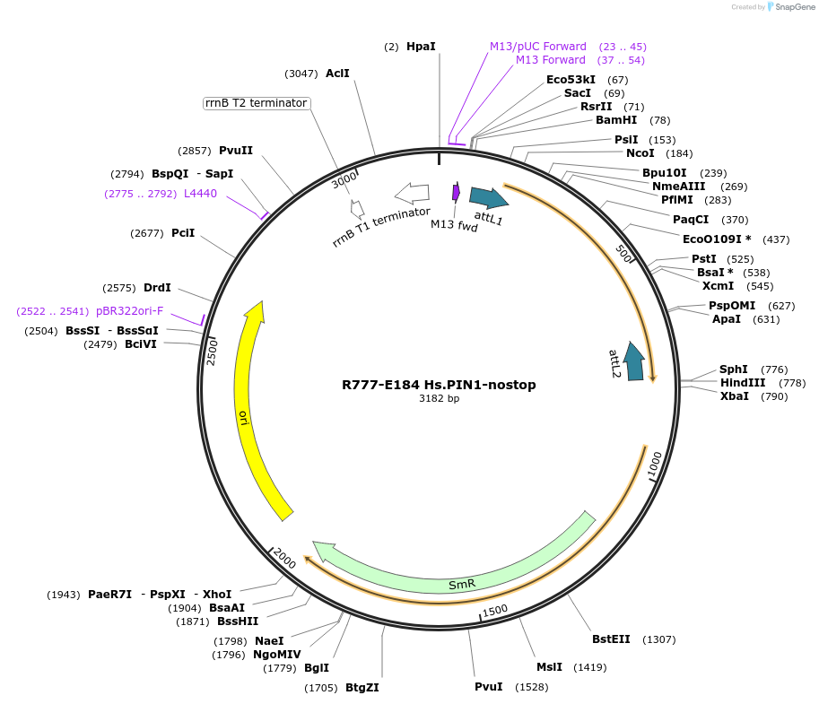 125917_map