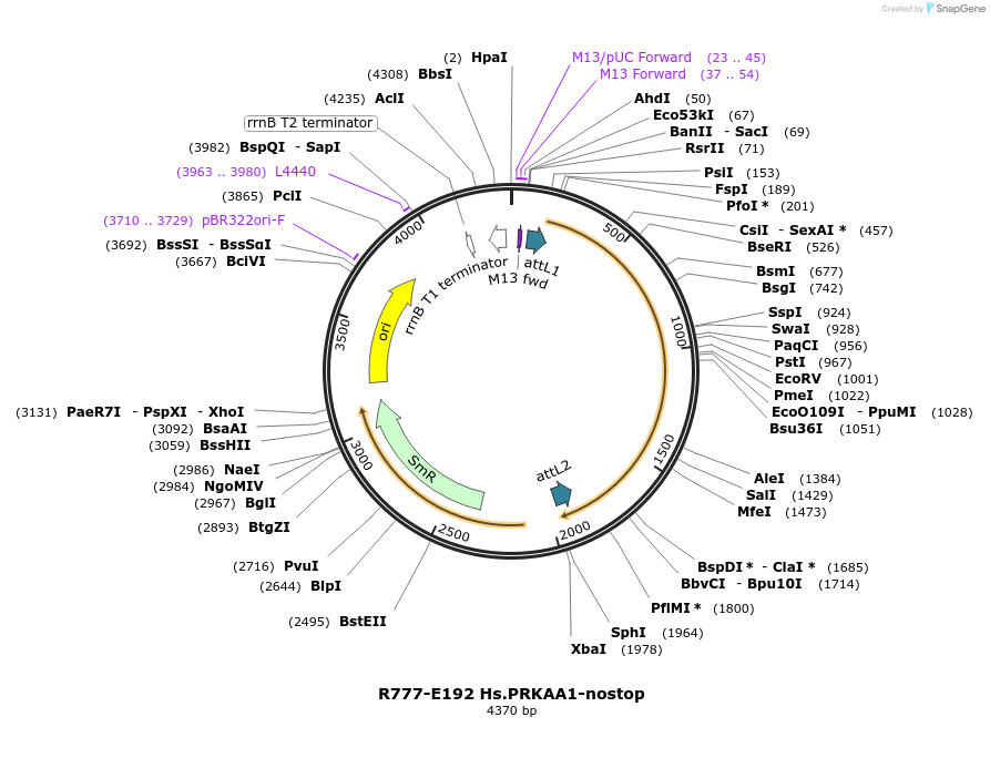 125925_map