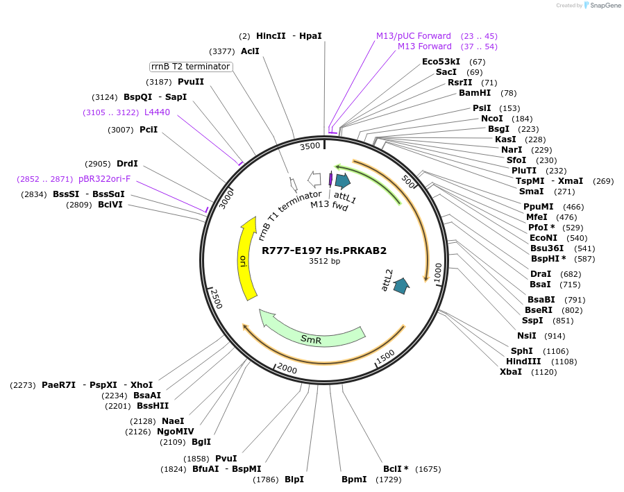 125930_map