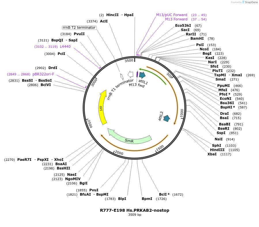 125931_map
