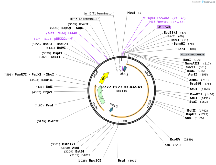 125960_map