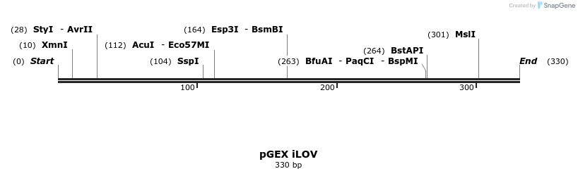 12597_map