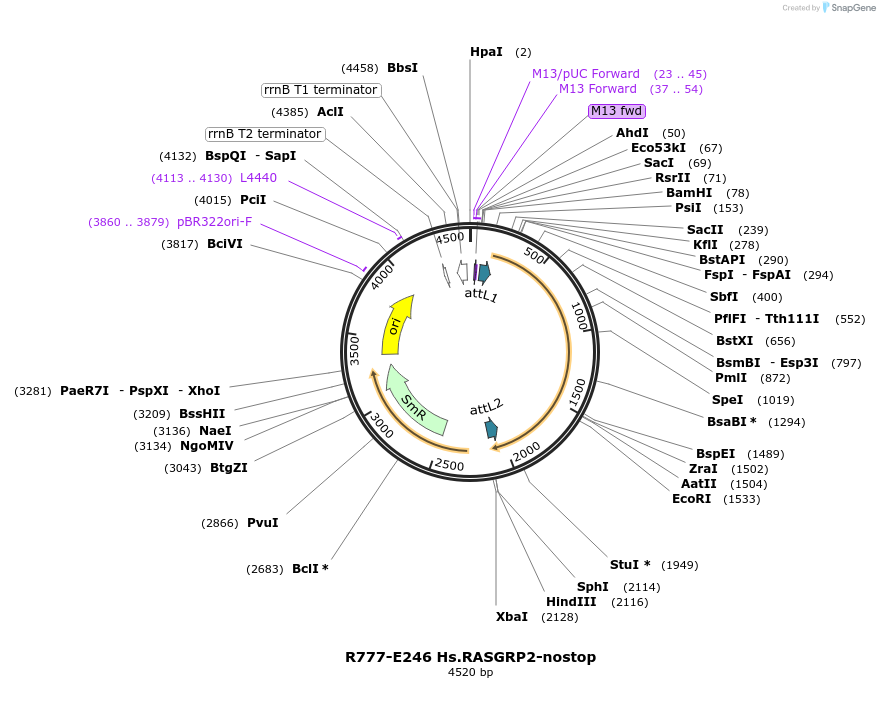 125979_map