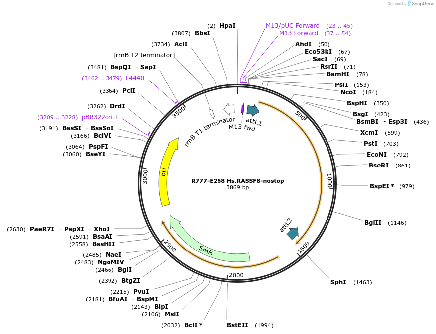 126001_map