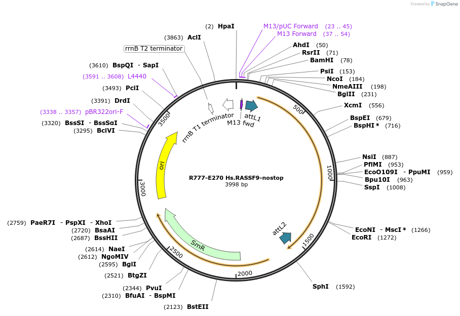126003_map