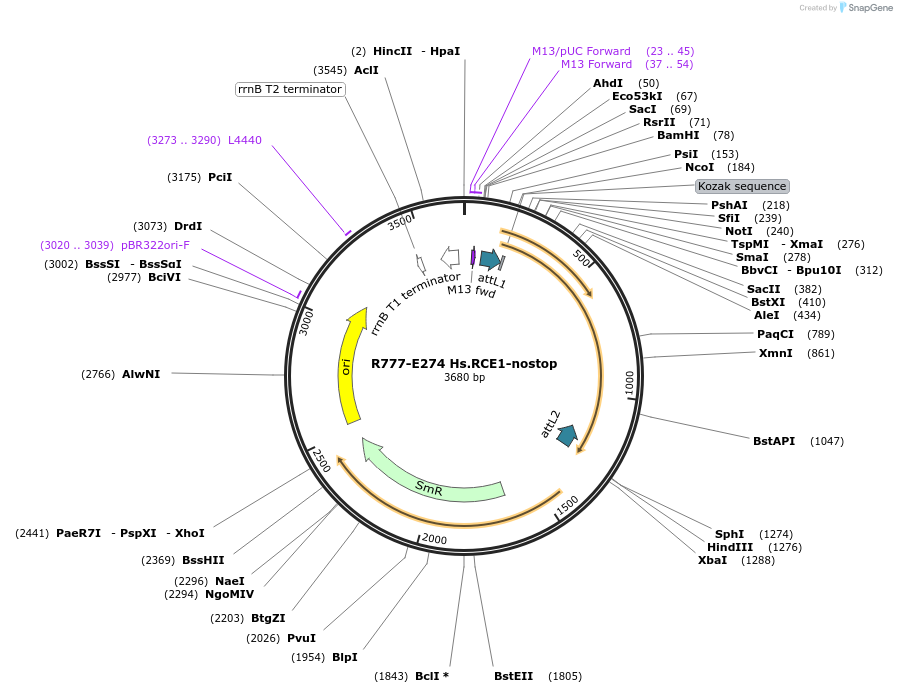 126007_map