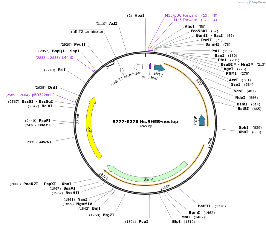 126009_map