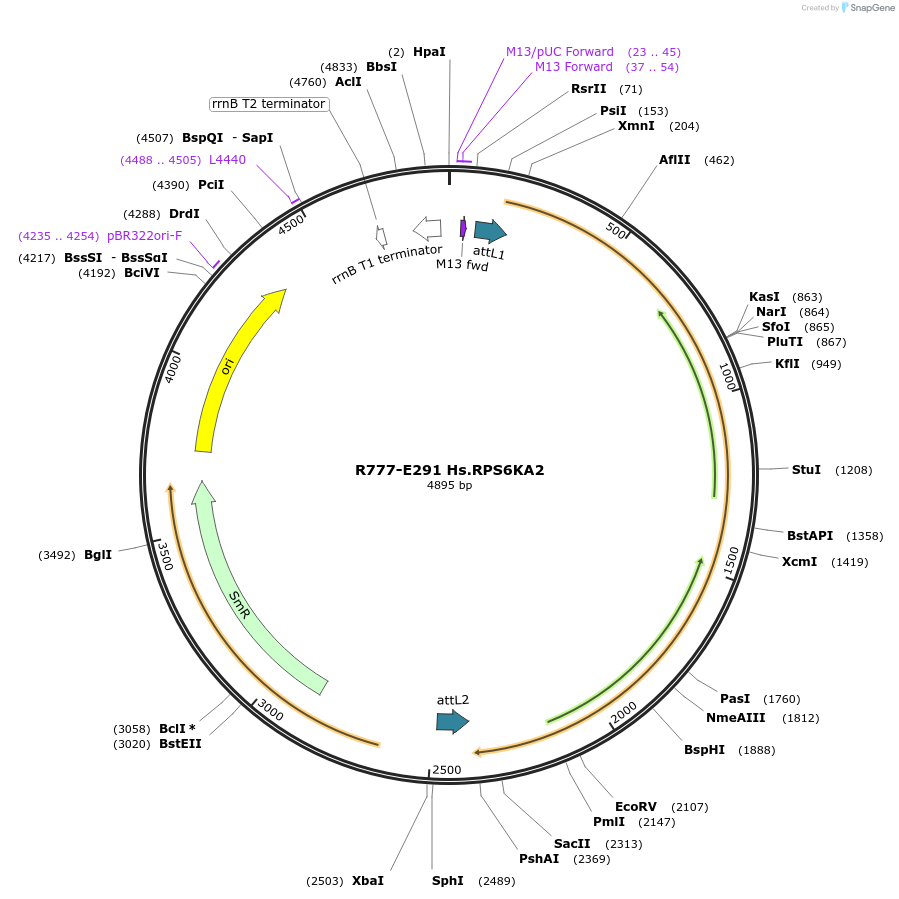 126024_map
