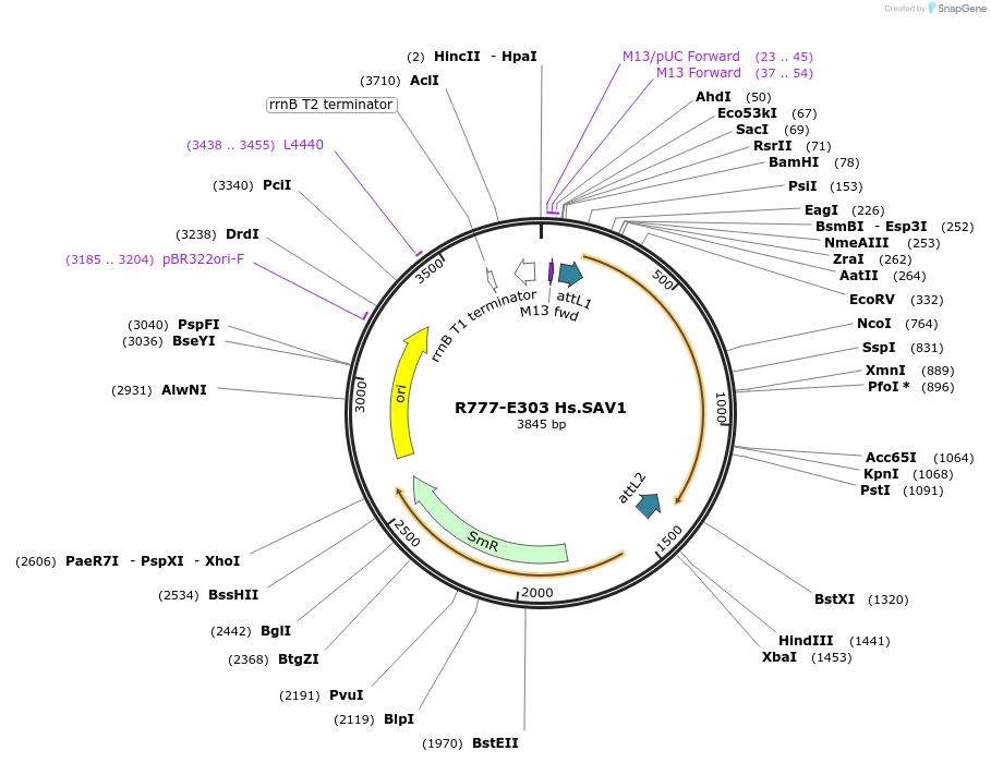 126036_map