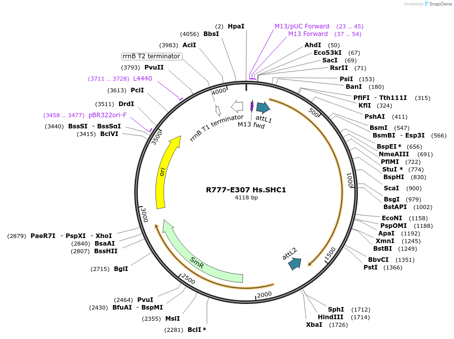 126040_map