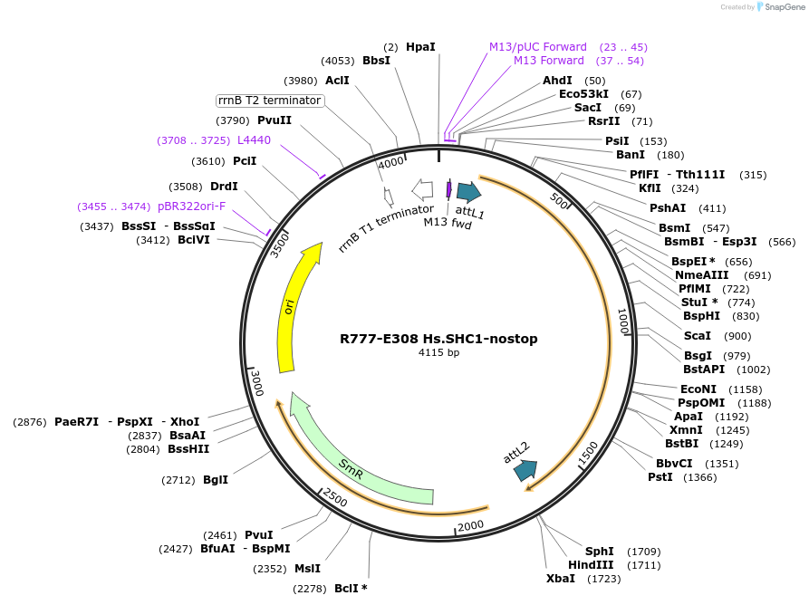 126041_map