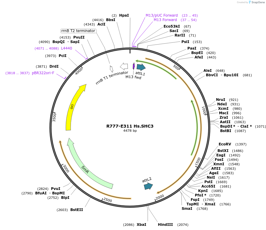 126044_map