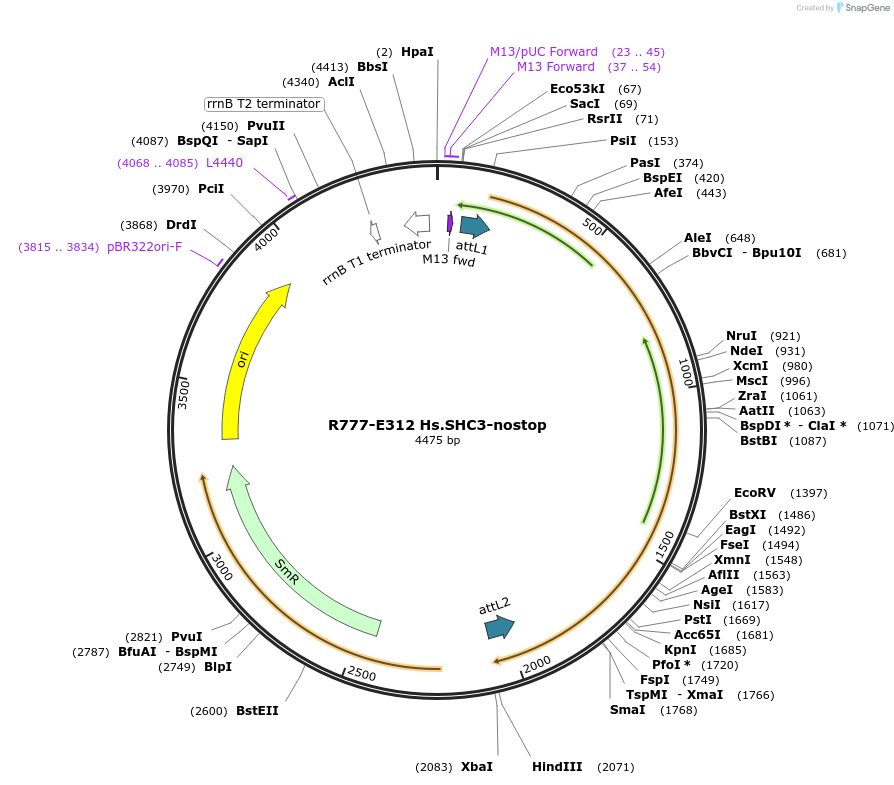 126045_map