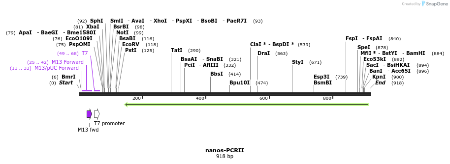 12605_map