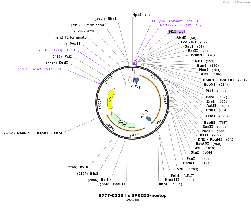 126059_map