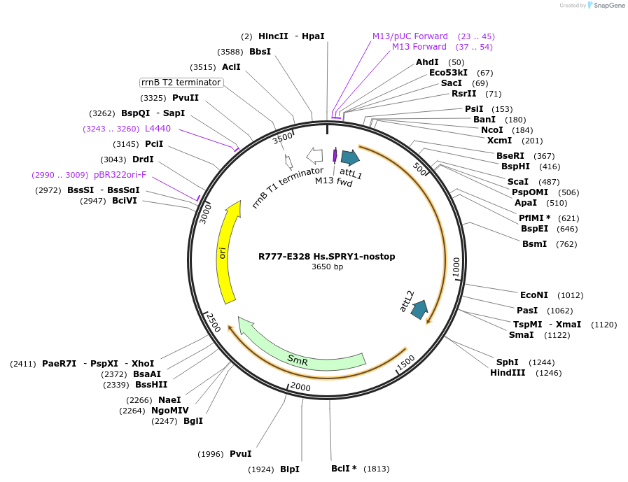 126061_map