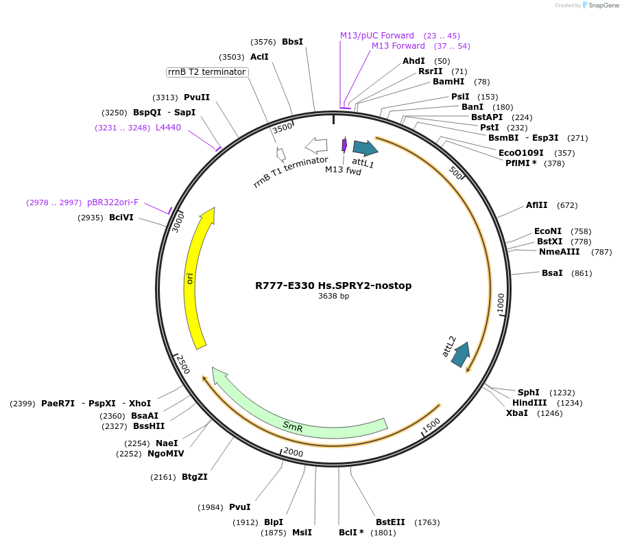 126063_map