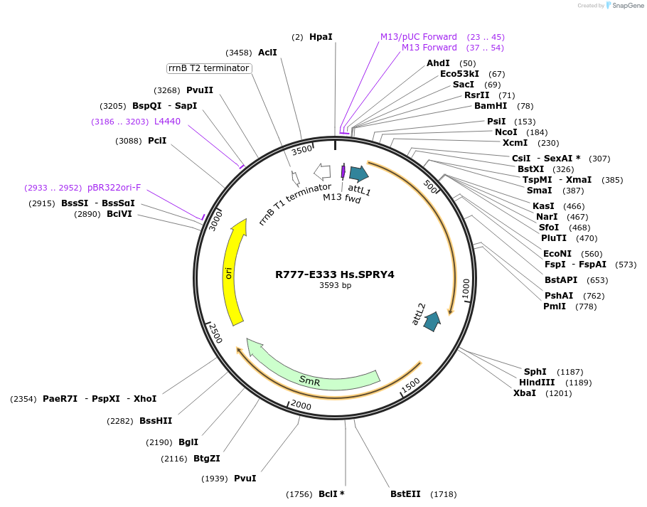 126067_map