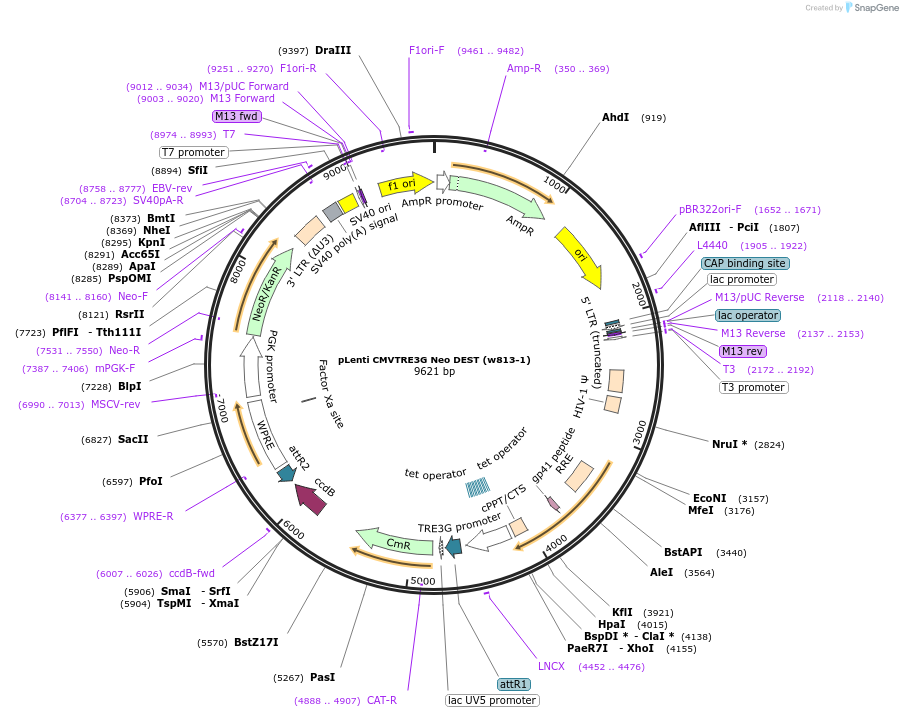 12607_map