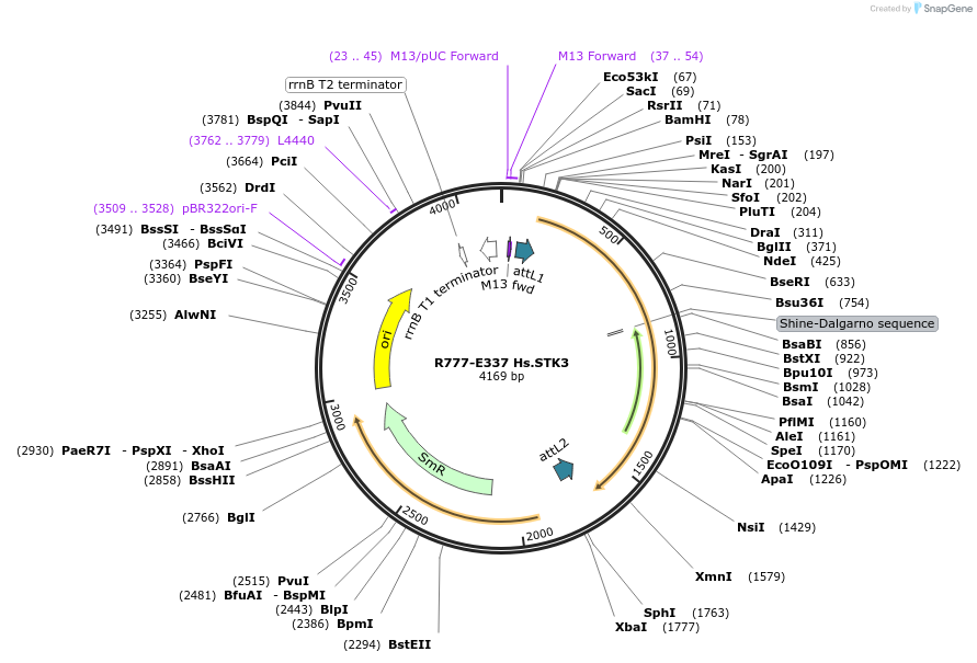 126070_map