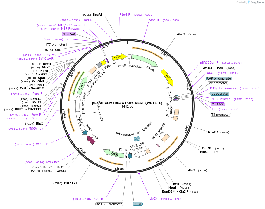 12609_map
