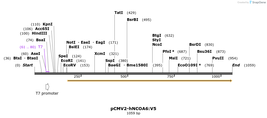 126099_map
