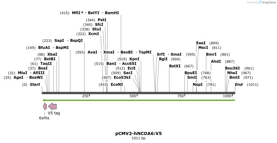 126100_map