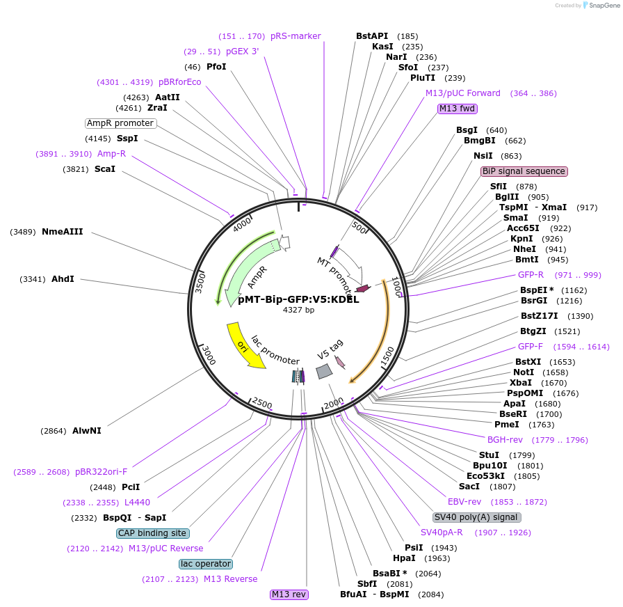 126101_map