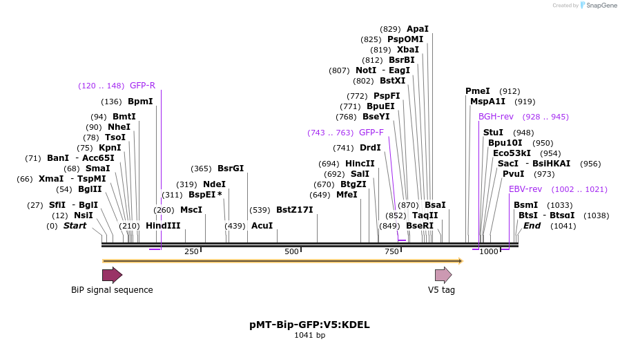 126102_map