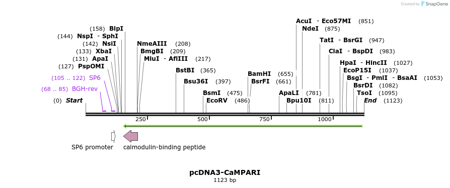 126103_map