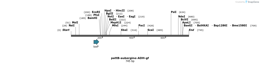 126104_map