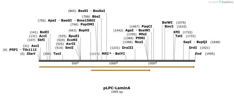 126105_map