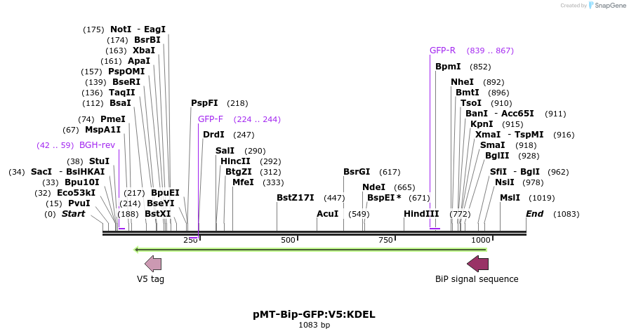 126107_map