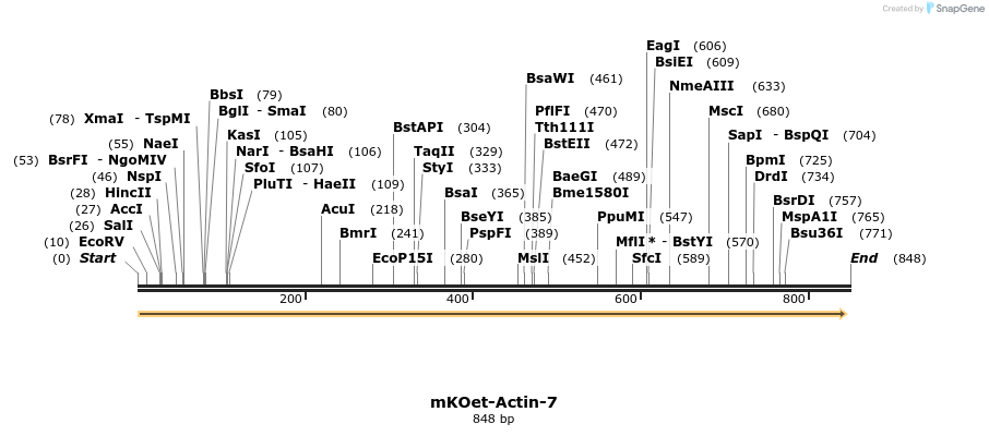 126109_map