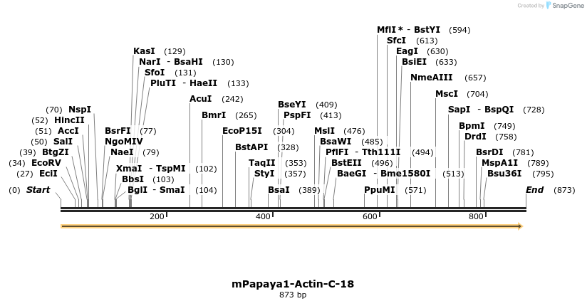 126111_map