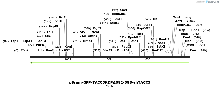 126112_map