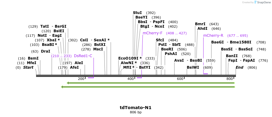 126120_map