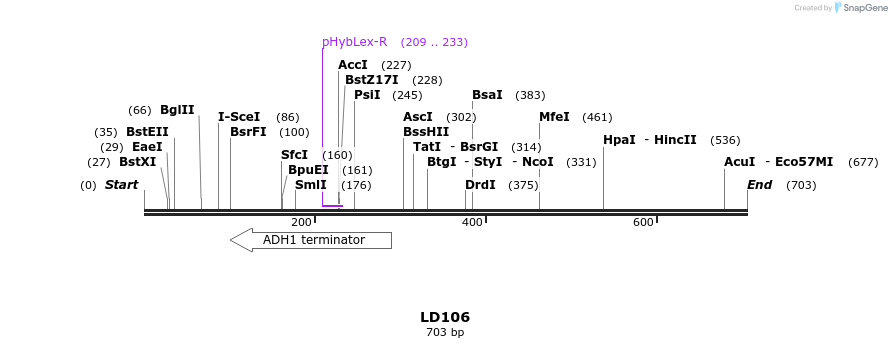 126123_map