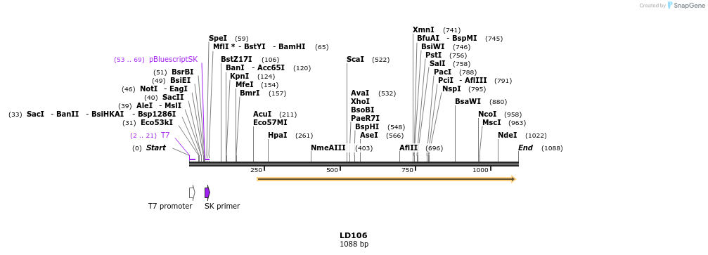 126127_map