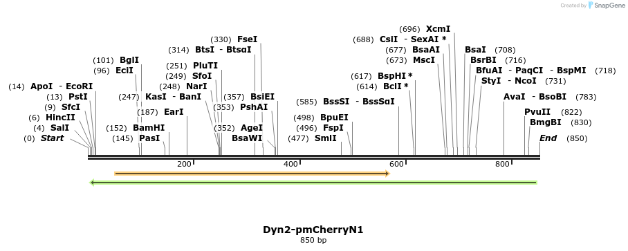 126128_map