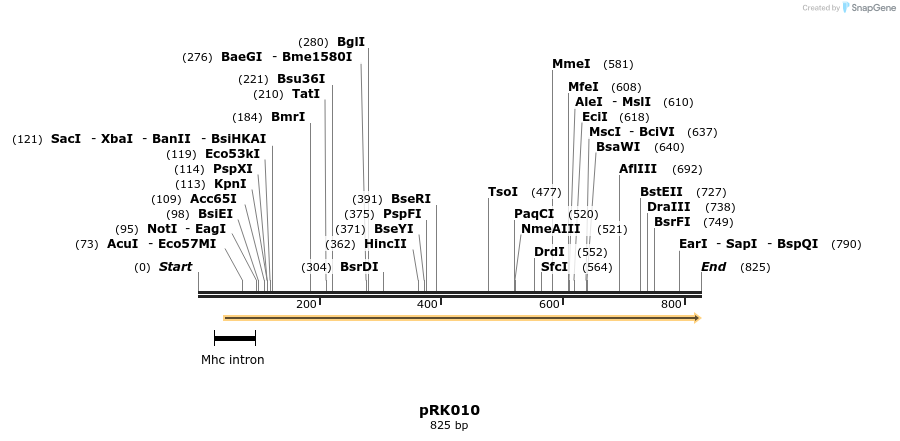 126131_map