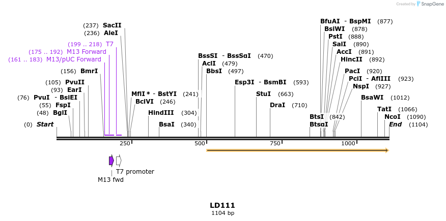 126134_map
